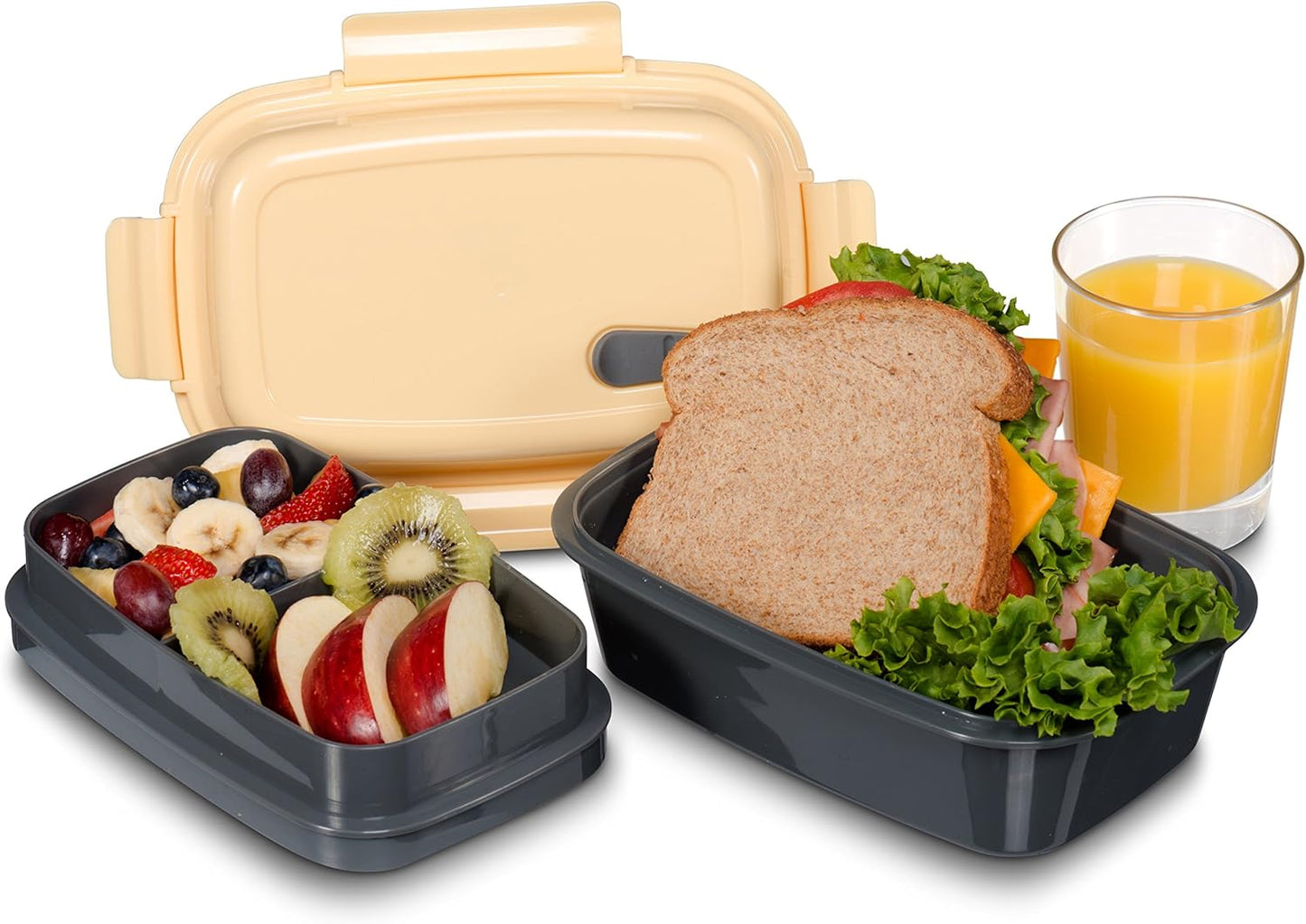 Cuddly Hippo Premium Bento Lunch Box - Leakproof, BPA-Free, Multi-Compartment